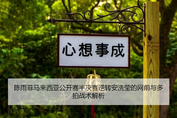 chen-yu-fei-ma-lai-xi-ya-gong-kai-sai-ban-jue-sai-ni-zhuan-an-xi-ying-de-wang-qian-yu-duo-pai-zhan-shu-jie-xi-2-588.jpg