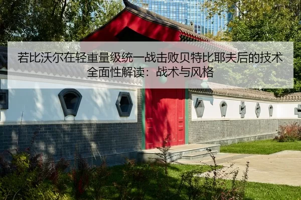 若比沃尔在轻重量级统一战击败贝特比耶夫后的技术全面性解读：战术与风格