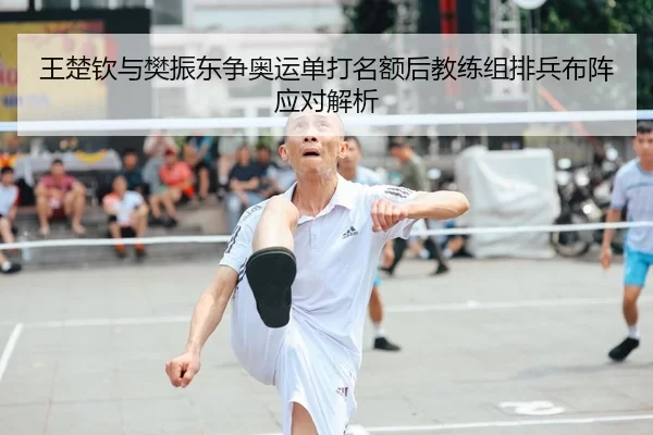 王楚钦与樊振东争奥运单打名额后教练组排兵布阵应对解析