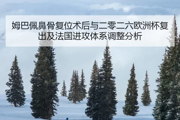 mu-ba-pei-bi-gu-fu-wei-shu-hou-yu-er-ling-er-liu-ou-zhou-bei-fu-chu-ji-fa-guo-jin-gong-ti-xi-tiao-zheng-fen-xi-2-458.jpg
