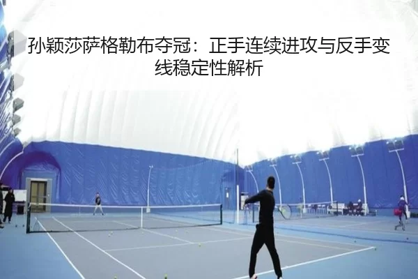 sun-ying-sha-sa-ge-lei-bu-duo-guan-zheng-shou-lian-xu-jin-gong-yu-fan-shou-bian-xian-wen-ding-xing-jie-xi-2-703.jpg
